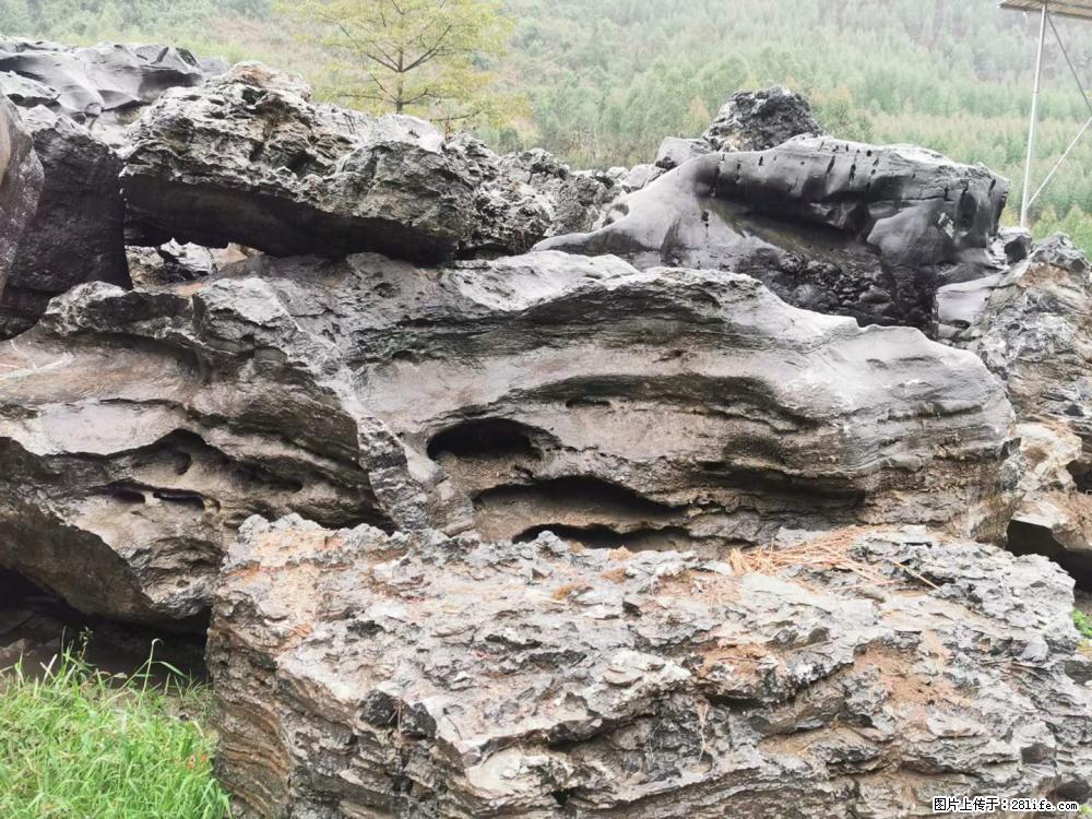 风景石、假山石大量有货，有需要的欢迎联系 - 新手上路 - 东营生活社区 - 东营28生活网 dy.28life.com