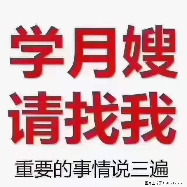 为什么要学习月嫂，育婴师？ - 其他广告 - 广告专区 - 东营分类信息 - 东营28生活网 dy.28life.com