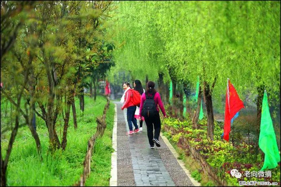 【春天,广西桂林灌阳县向您发出邀请!】江口老街又逢春 - 游山玩水 - 东营生活社区 - 东营28生活网 dy.28life.com