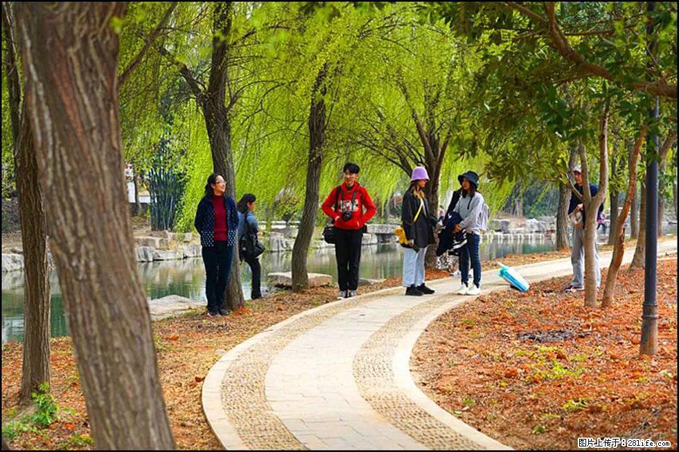 【春天,广西桂林灌阳县向您发出邀请!】江口老街又逢春 - 游山玩水 - 东营生活社区 - 东营28生活网 dy.28life.com