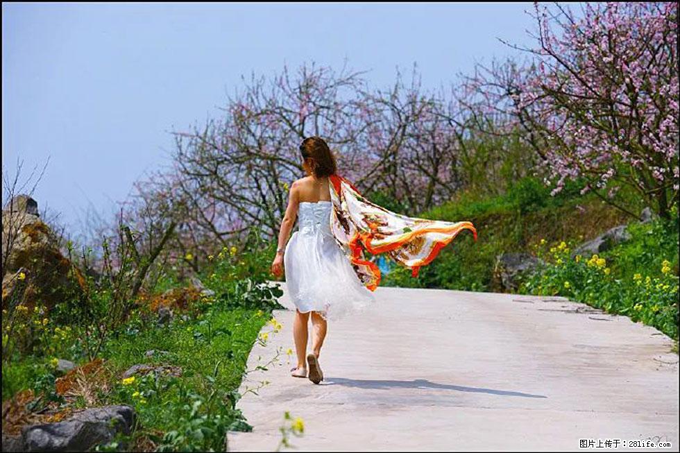 【春天，广西桂林灌阳县向您发出邀请！】望月岭上桃花开 - 游山玩水 - 东营生活社区 - 东营28生活网 dy.28life.com