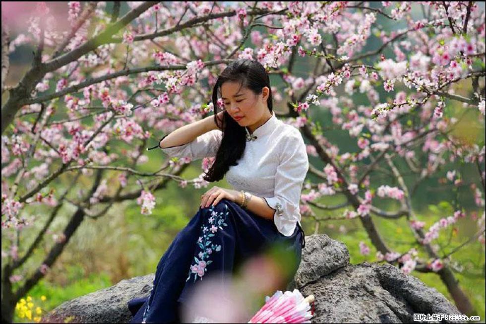 【春天，广西桂林灌阳县向您发出邀请！】望月岭上桃花开 - 游山玩水 - 东营生活社区 - 东营28生活网 dy.28life.com