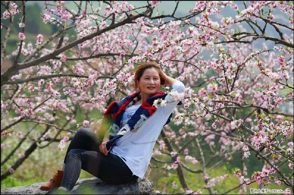 【春天，广西桂林灌阳县向您发出邀请！】望月岭上桃花开 - 游山玩水 - 东营生活社区 - 东营28生活网 dy.28life.com