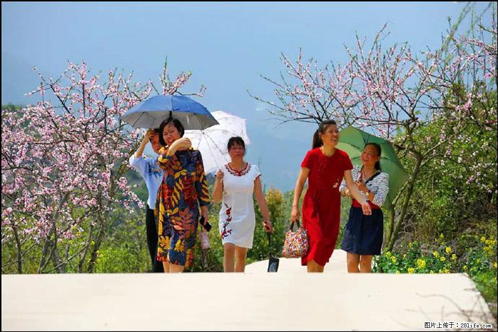 【春天，广西桂林灌阳县向您发出邀请！】望月岭上桃花开 - 游山玩水 - 东营生活社区 - 东营28生活网 dy.28life.com