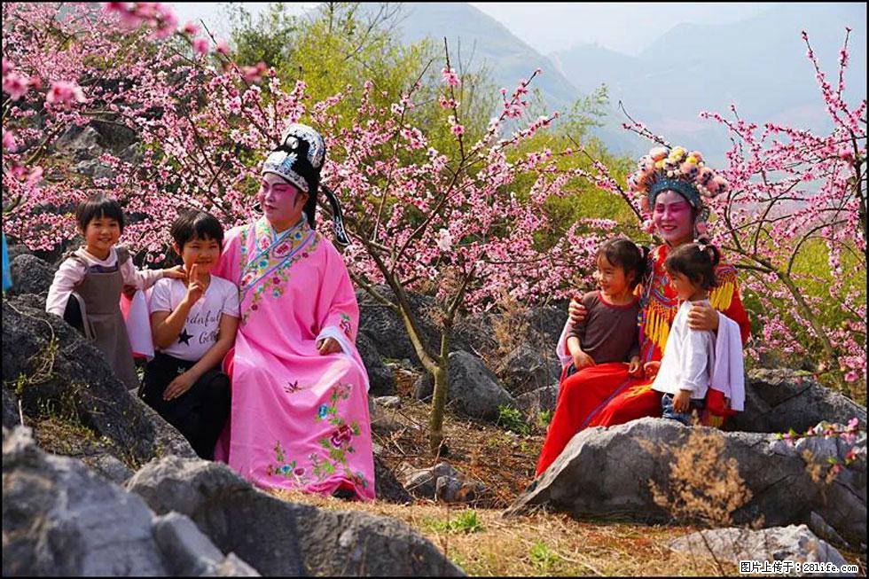 【春天，广西桂林灌阳县向您发出邀请！】望月岭上桃花开 - 游山玩水 - 东营生活社区 - 东营28生活网 dy.28life.com