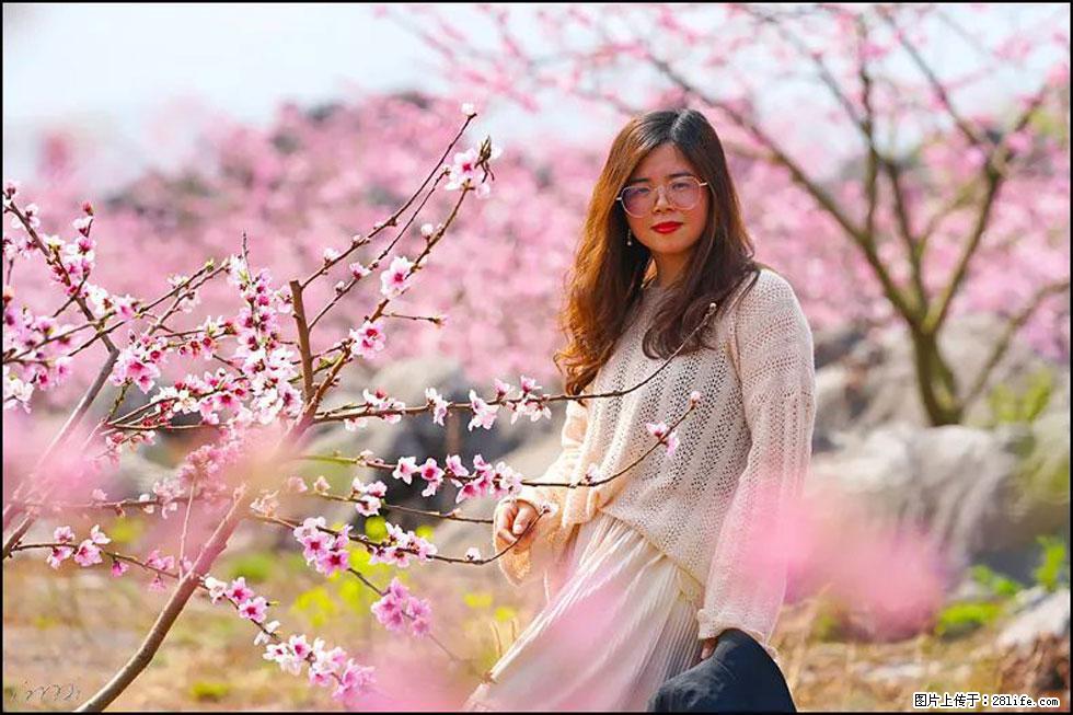 【春天，广西桂林灌阳县向您发出邀请！】望月岭上桃花开 - 游山玩水 - 东营生活社区 - 东营28生活网 dy.28life.com