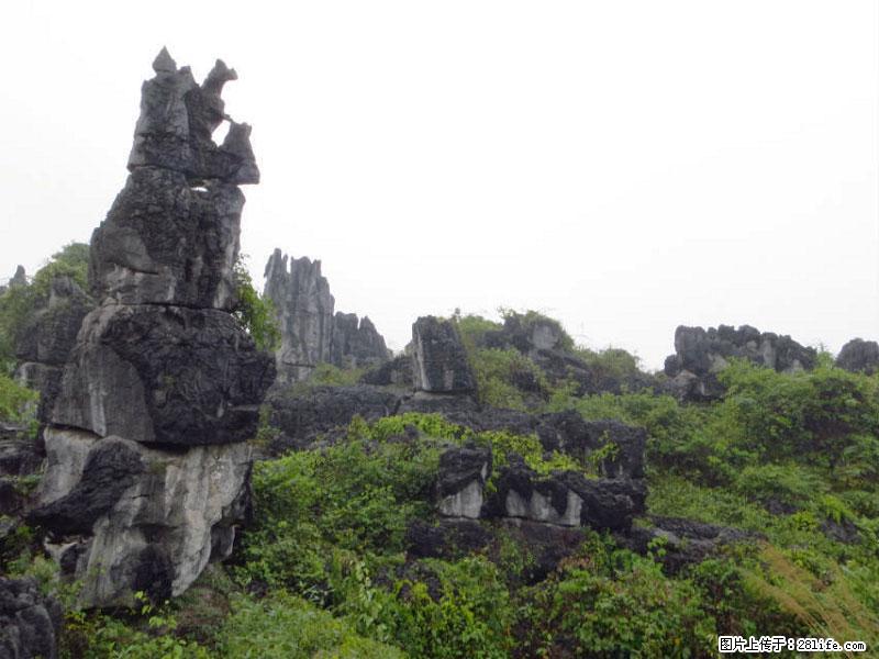 桂林旅游名城景点：灌阳文市石林 - 游山玩水 - 东营生活社区 - 东营28生活网 dy.28life.com