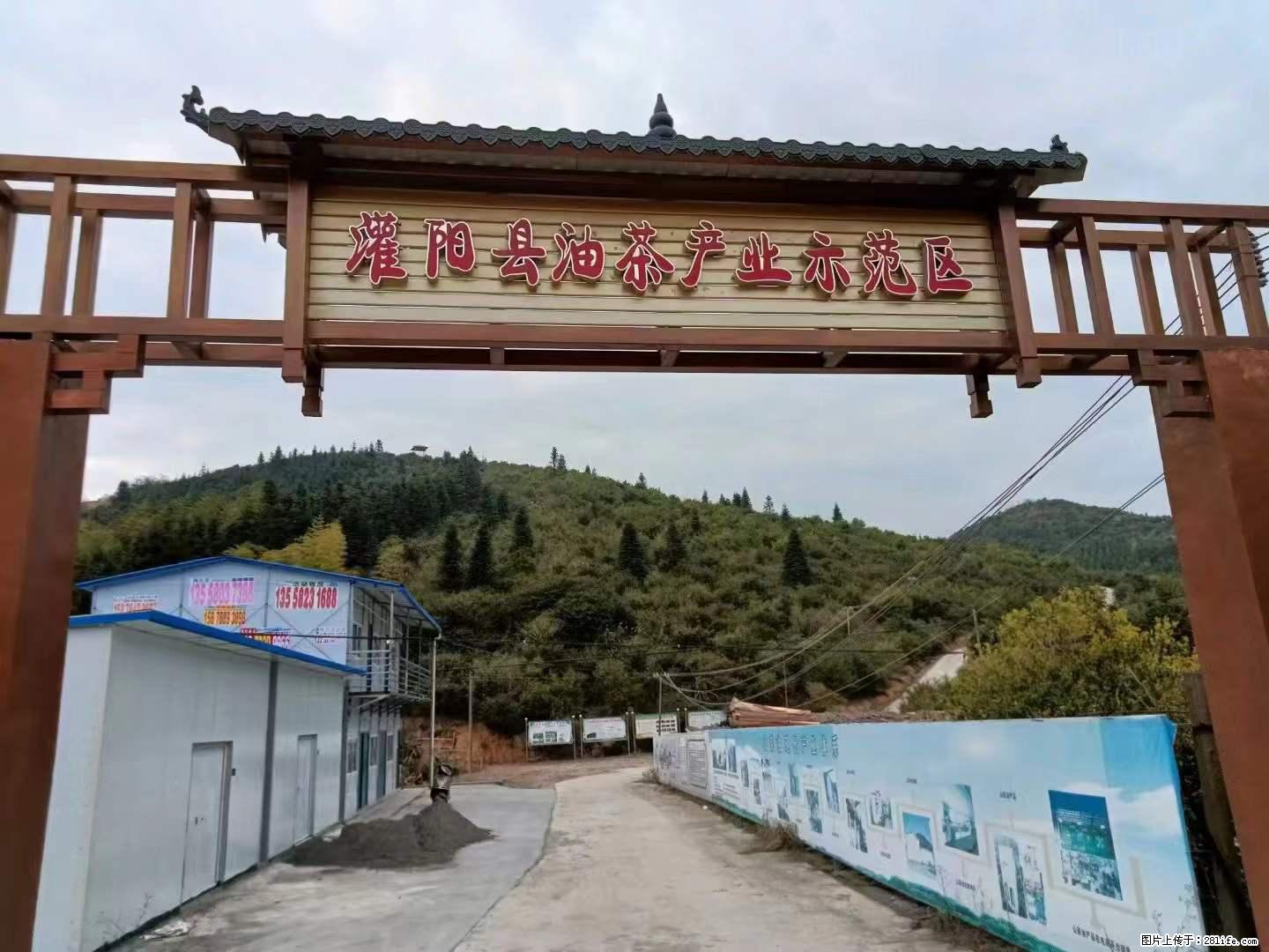 【灌阳县油茶产业示范区】一个有着充实的精神生活的人,对待身外之物自会有一种淡泊的态度 - 美食天地 - 东营生活社区 - 东营28生活网 dy.28life.com