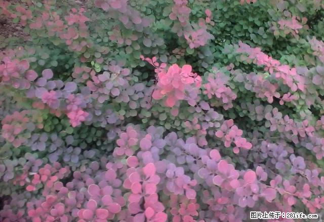 长短租胜利花苑六楼带家具家电年租18000元 - 房屋出租 - 房屋租售 - 东营分类信息 - 东营28生活网 dy.28life.com