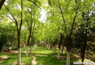 西城北二路蓝天9000年付,三个月3000 - 东营28生活网 dy.28life.com