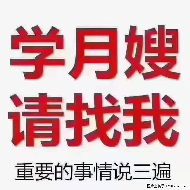 【招聘】月嫂，上海徐汇区 - 职场交流 - 东营生活社区 - 东营28生活网 dy.28life.com