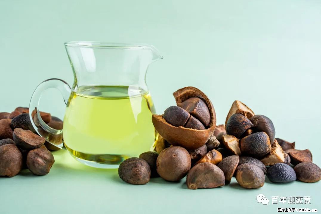 世界没有真相，只有认知，最好的食用油是中国的山茶油！ - 东营生活资讯 - 东营28生活网 dy.28life.com
