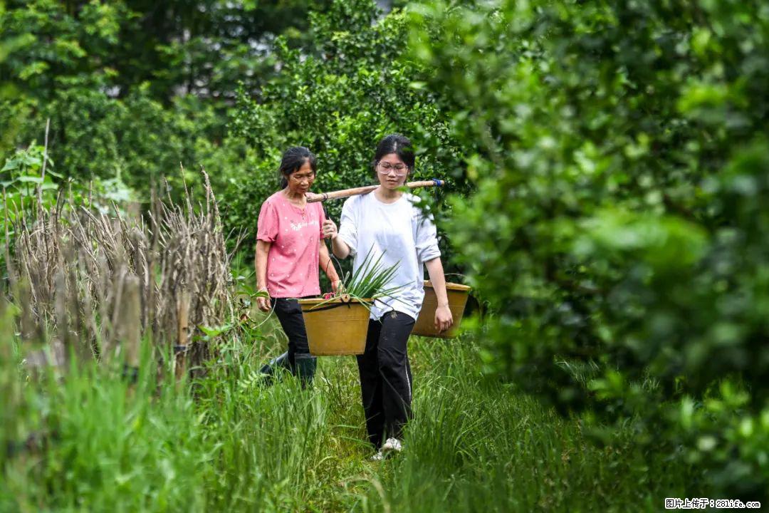 全网追的“扁担女孩”,找了一份暑假工,时薪12元 - 东营生活资讯 - 东营28生活网 dy.28life.com
