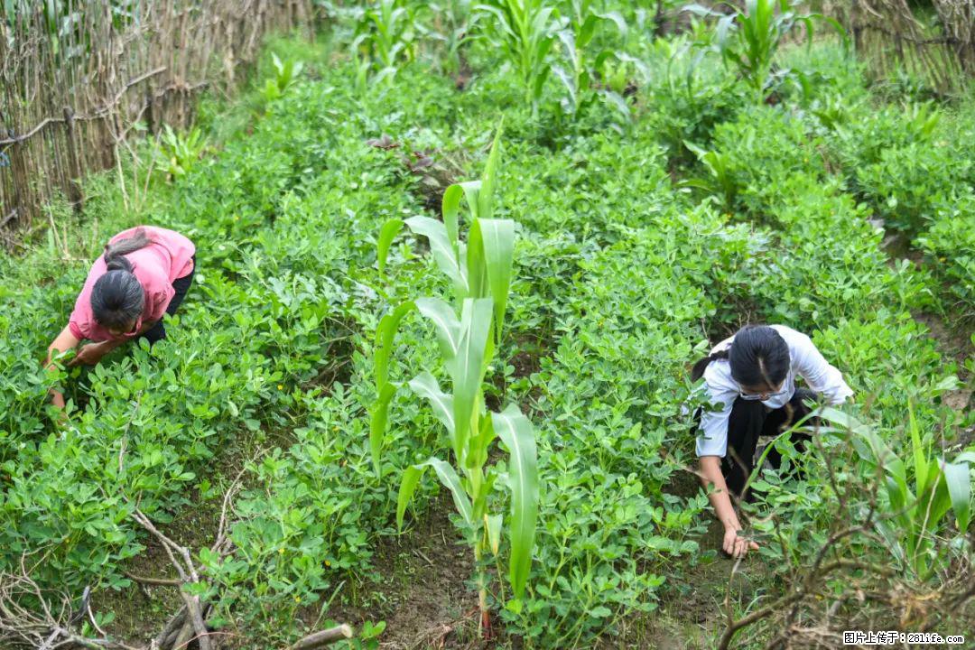 全网追的“扁担女孩”,找了一份暑假工,时薪12元 - 东营生活资讯 - 东营28生活网 dy.28life.com