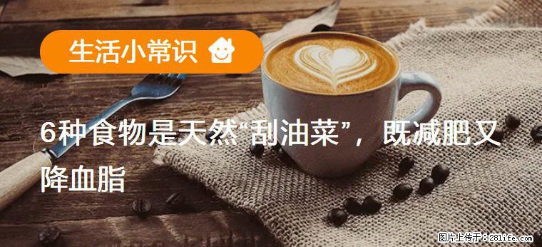 【生活小常识】6种食物是天然“刮油菜”,既减肥又降血脂 - 东营生活资讯 - 东营28生活网 dy.28life.com