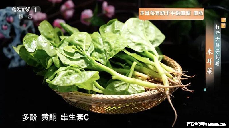 比牛奶补钙还厉害！凉血解毒、稳血糖...这菜冬天必吃，很多人却当草 - 东营生活资讯 - 东营28生活网 dy.28life.com