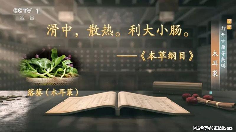 比牛奶补钙还厉害！凉血解毒、稳血糖...这菜冬天必吃，很多人却当草 - 东营生活资讯 - 东营28生活网 dy.28life.com