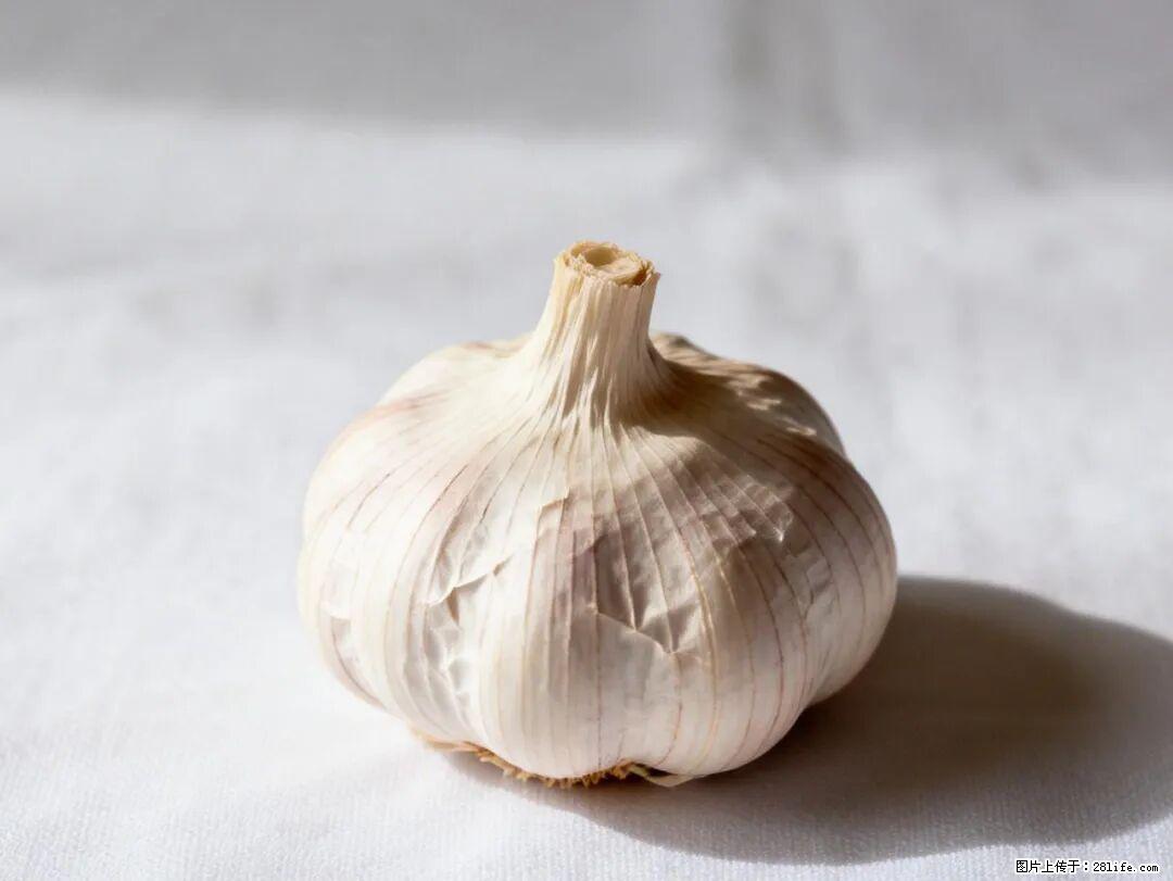 关于大蒜,除了“天然抗生素”,这4个谣言更该警惕! - 东营生活资讯 - 东营28生活网 dy.28life.com