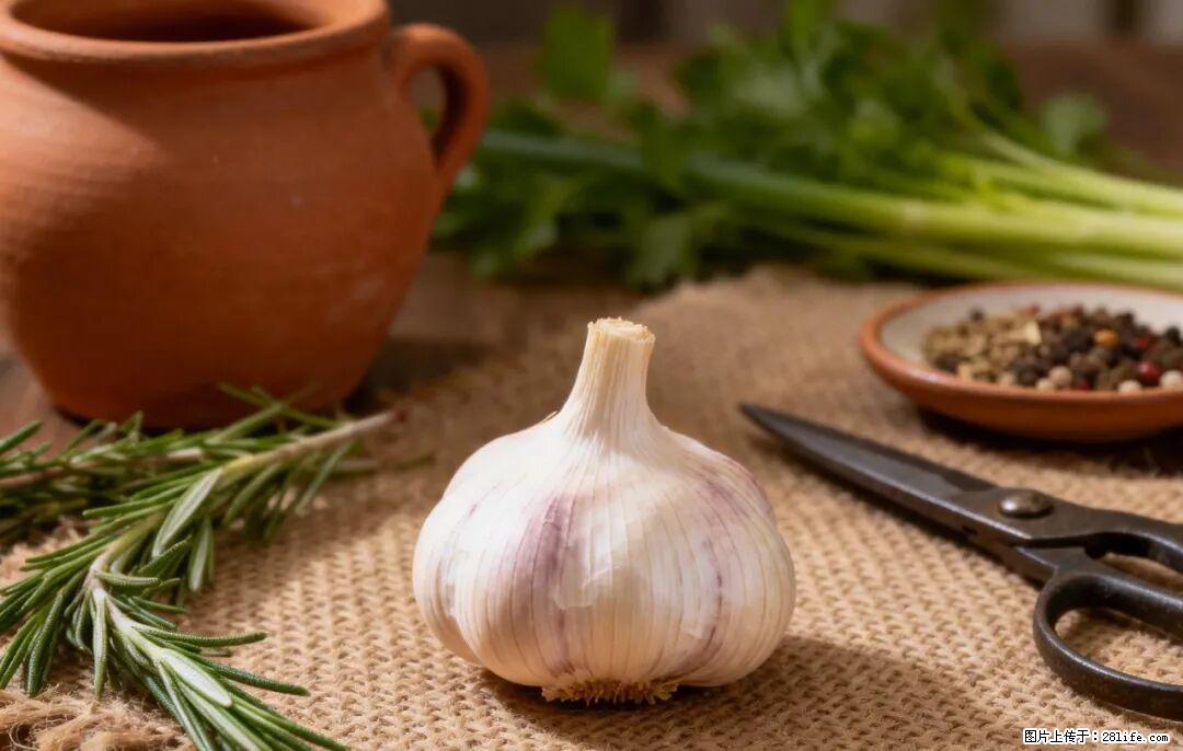 关于大蒜,除了“天然抗生素”,这4个谣言更该警惕! - 东营生活资讯 - 东营28生活网 dy.28life.com