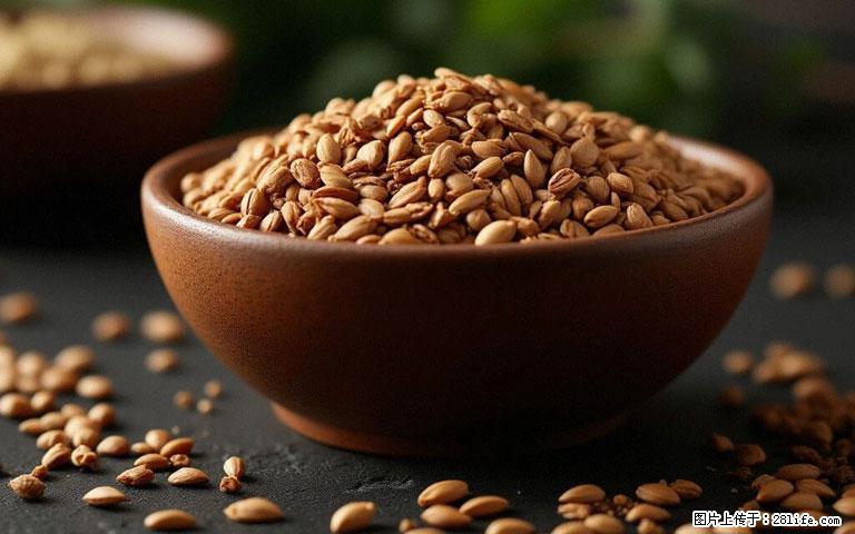 这三苦是三高“克星”,心血管干净不易堵!每天吃一点,指标慢慢降下来~ - 东营生活资讯 - 东营28生活网 dy.28life.com