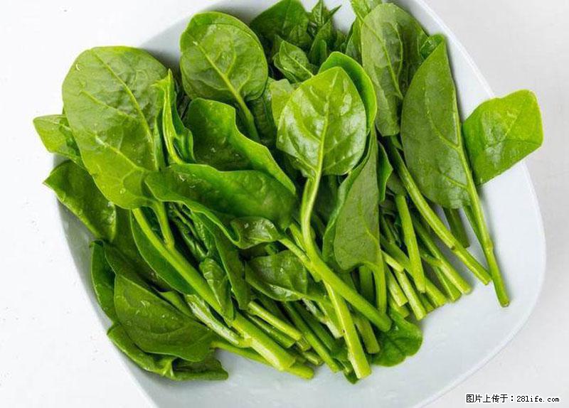 这些蔬菜是“天然钙片”，这6种被医生重点推荐 - 东营生活资讯 - 东营28生活网 dy.28life.com