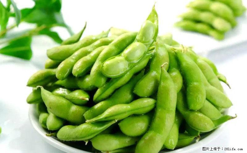 这些蔬菜是“天然钙片”，这6种被医生重点推荐 - 东营生活资讯 - 东营28生活网 dy.28life.com