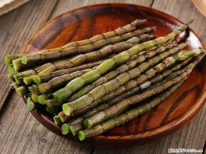 铁皮石斛的作用与功能主治 - 东营生活资讯 - 东营28生活网 dy.28life.com