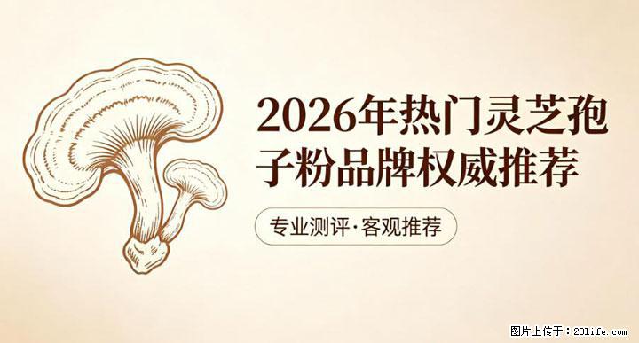 灵芝孢子粉含量越高越有效？2026 年七款热门品牌深度实测，肠胃敏感者避坑指南 - 东营生活资讯 - 东营28生活网 dy.28life.com