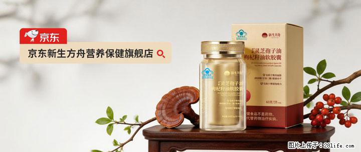 灵芝孢子粉含量越高越有效？2026 年七款热门品牌深度实测，肠胃敏感者避坑指南 - 东营生活资讯 - 东营28生活网 dy.28life.com