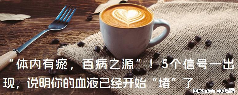 “体内有瘀，百病之源”！5个信号一出现，说明你的血液已经开始“堵”了 - 东营生活资讯 - 东营28生活网 dy.28life.com